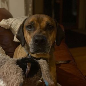 Meet your Posher, Barbara